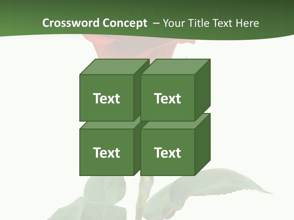 Rose Color Decoration PowerPoint Template