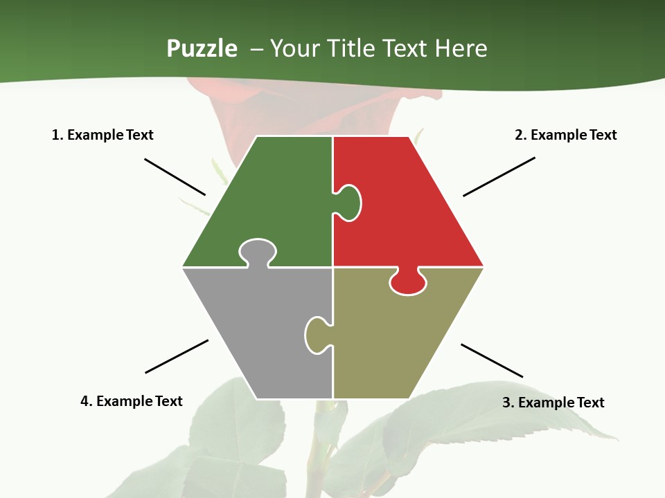 Rose Color Decoration PowerPoint Template