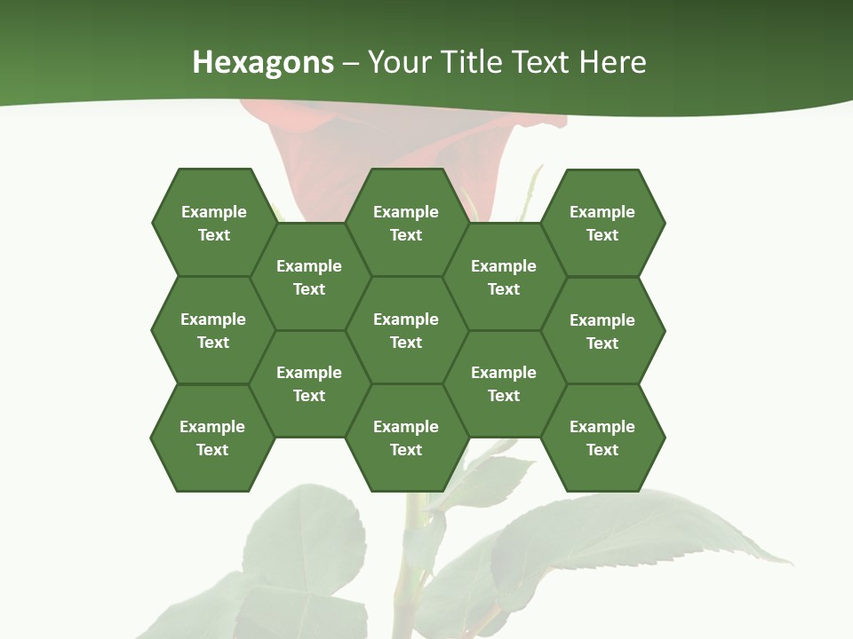 Rose Color Decoration PowerPoint Template