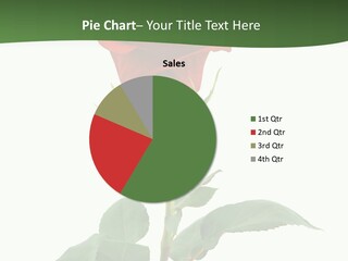 Rose Color Decoration PowerPoint Template