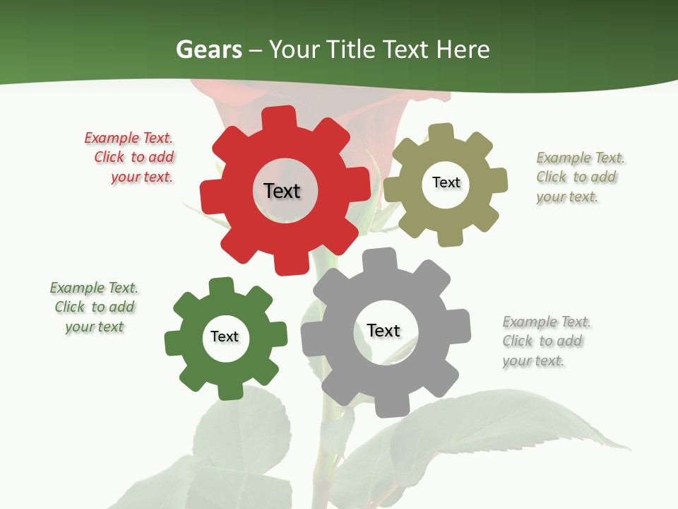 Rose Color Decoration PowerPoint Template