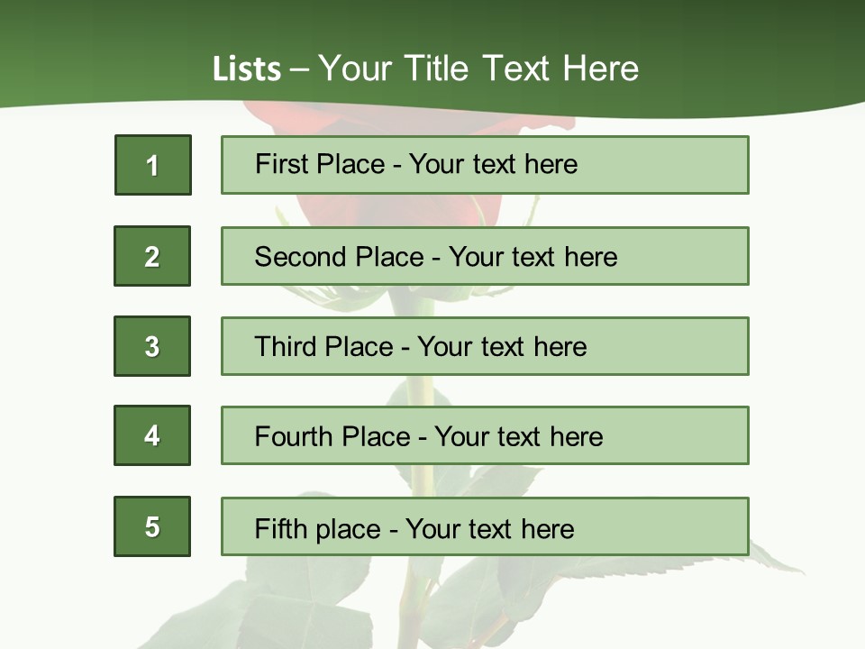 Rose Color Decoration PowerPoint Template