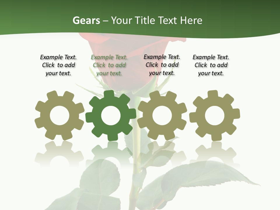 Rose Color Decoration PowerPoint Template