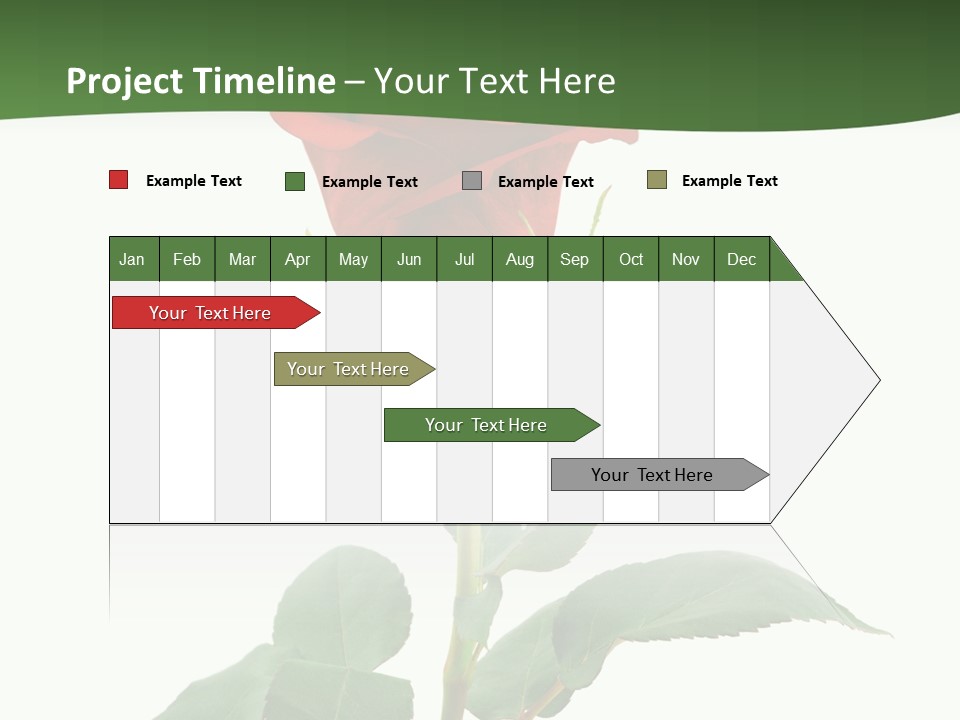 Rose Color Decoration PowerPoint Template
