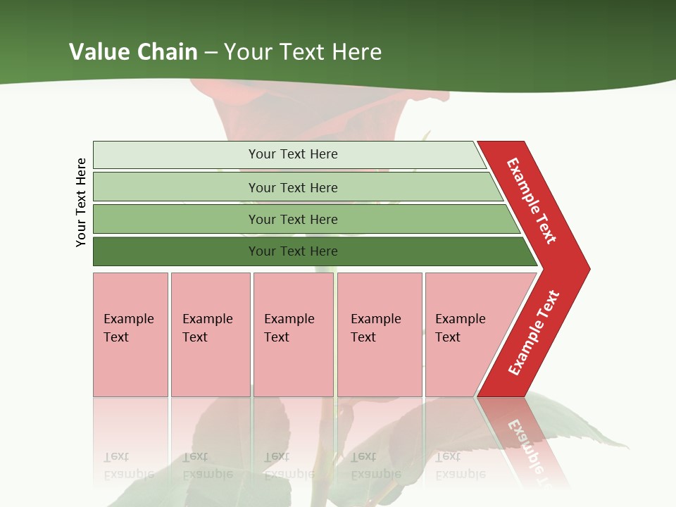 Rose Color Decoration PowerPoint Template