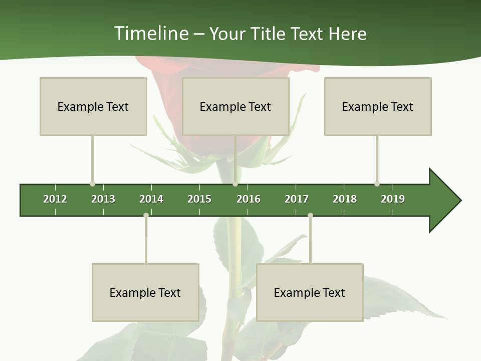 Rose Color Decoration PowerPoint Template