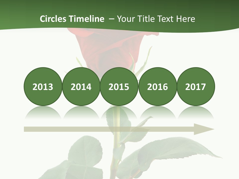 Rose Color Decoration PowerPoint Template