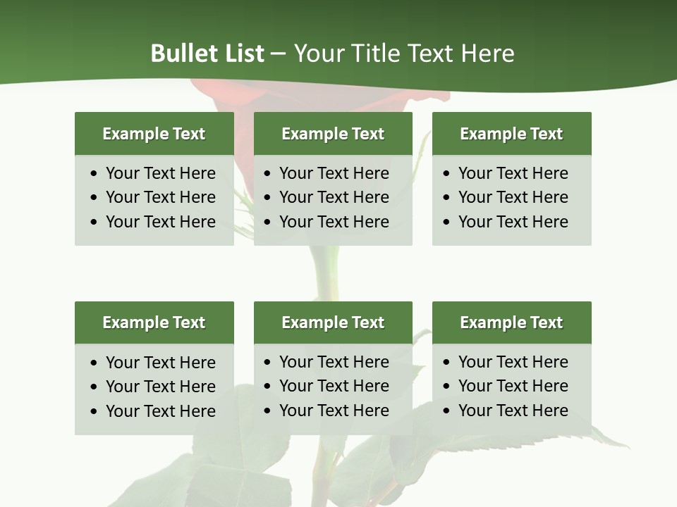 Rose Color Decoration PowerPoint Template