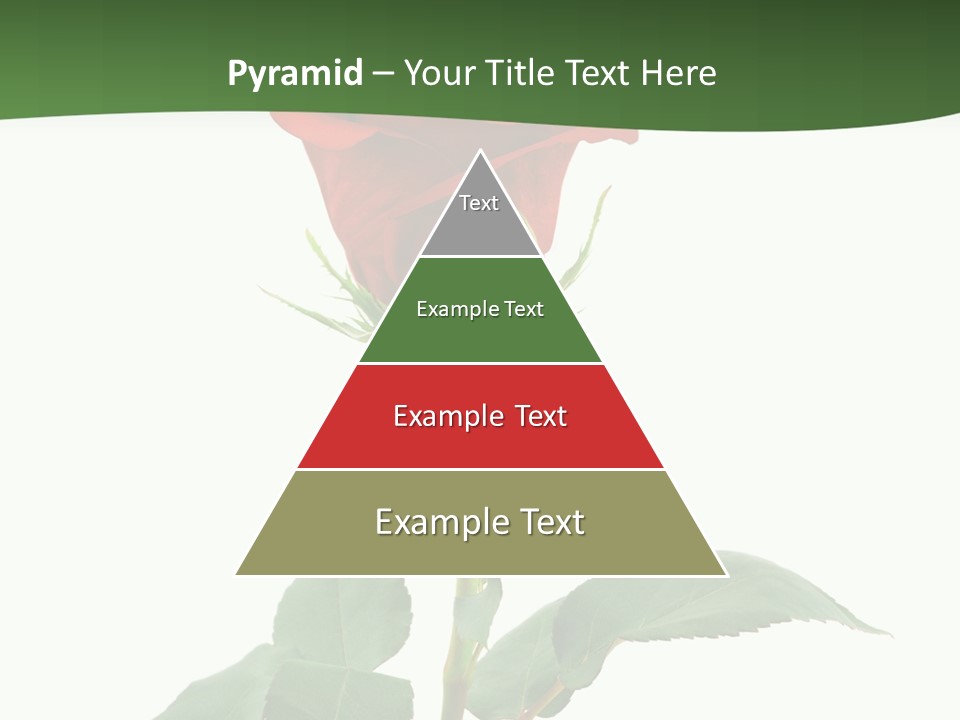 Rose Color Decoration PowerPoint Template