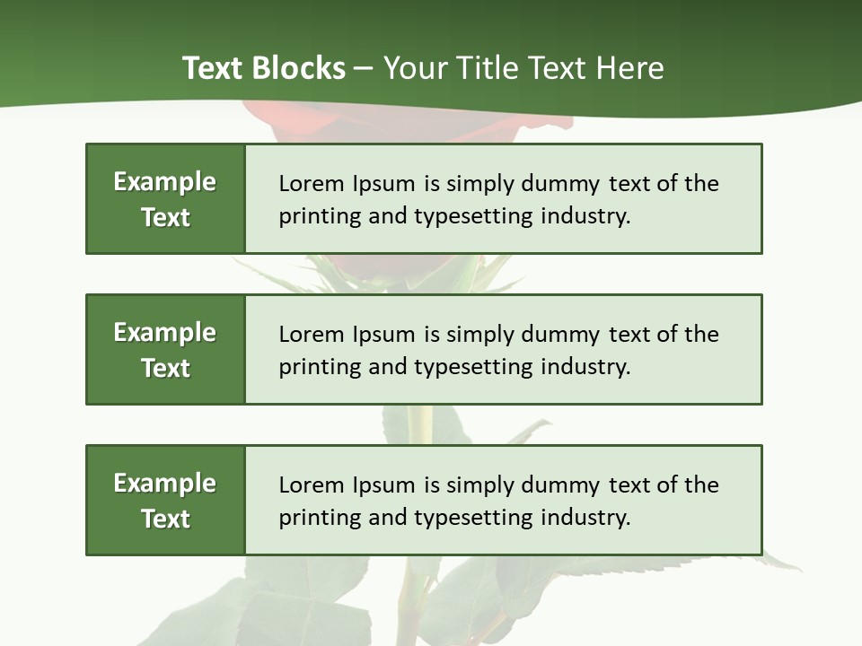 Rose Color Decoration PowerPoint Template