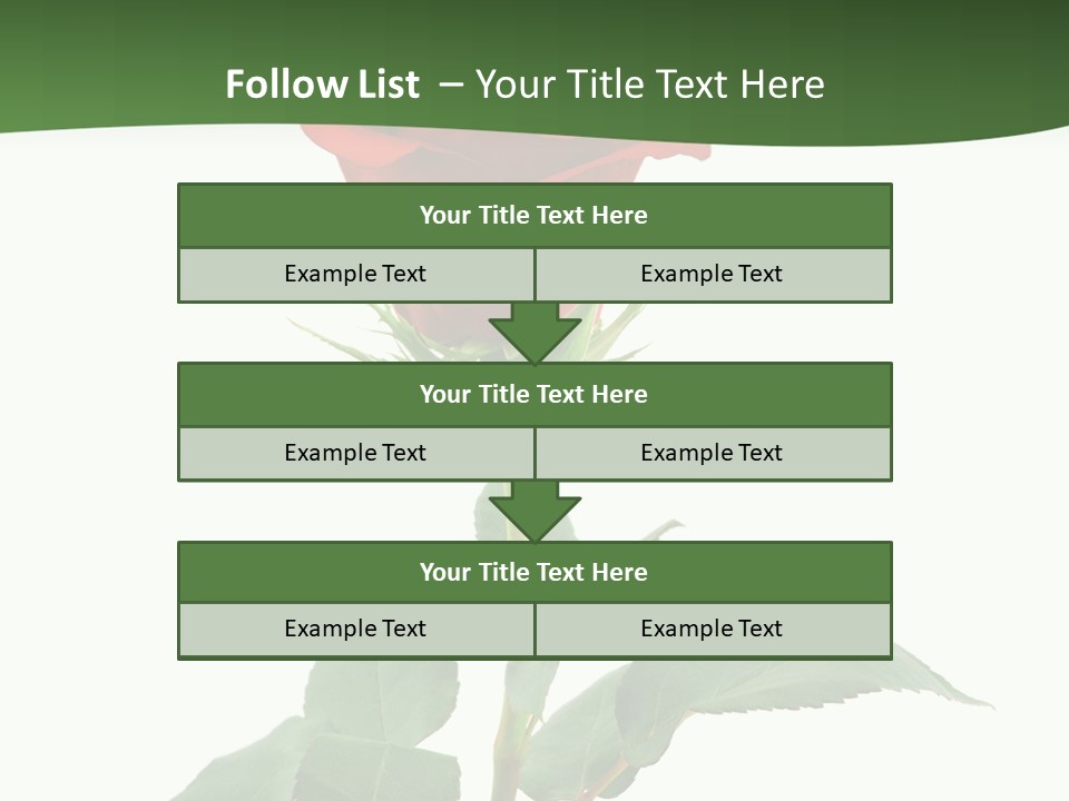 Rose Color Decoration PowerPoint Template