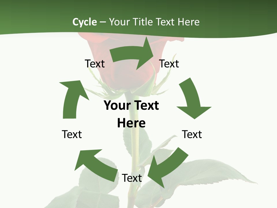 Rose Color Decoration PowerPoint Template