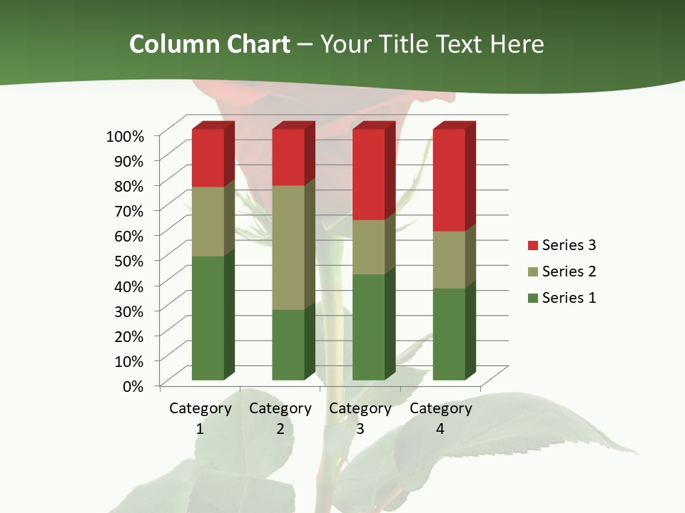 Rose Color Decoration PowerPoint Template