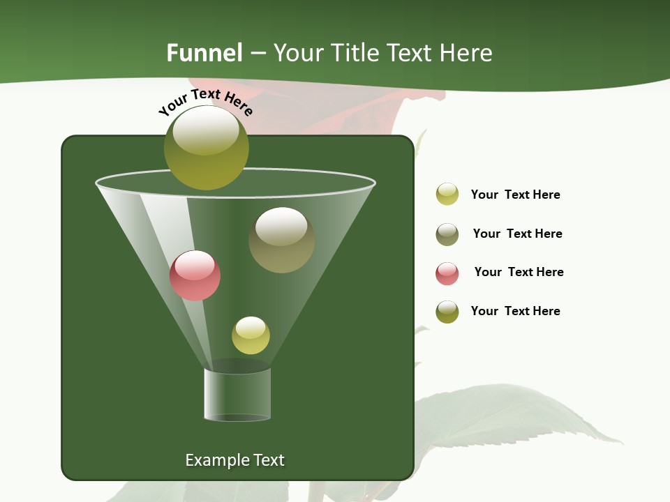 Rose Color Decoration PowerPoint Template
