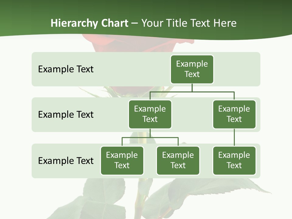 Rose Color Decoration PowerPoint Template