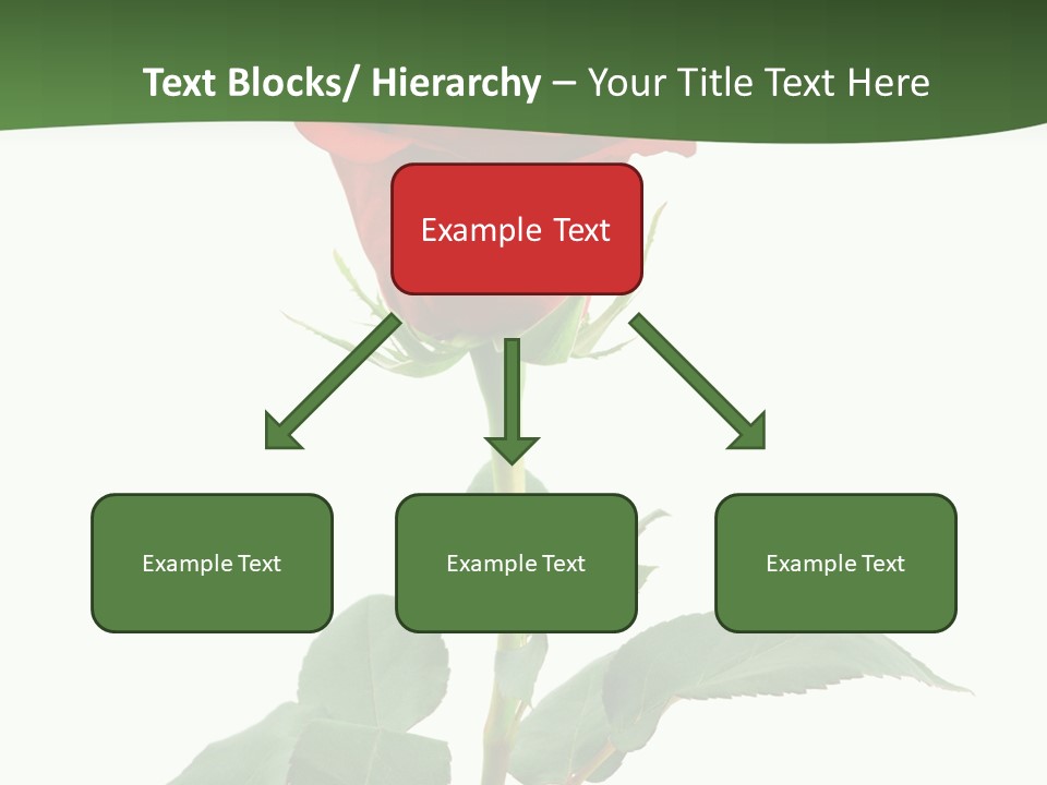 Rose Color Decoration PowerPoint Template
