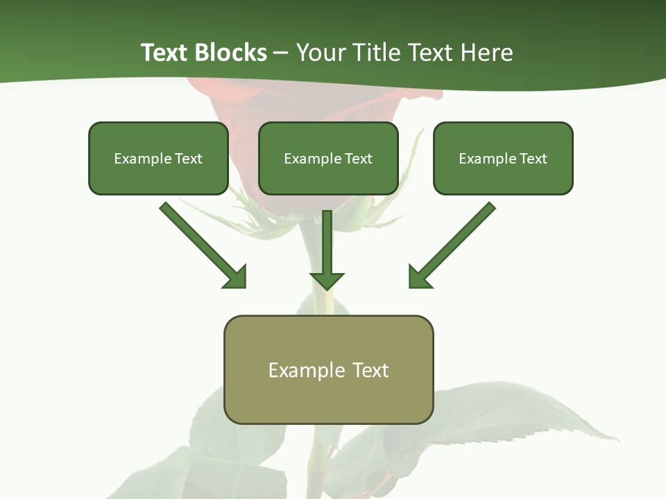 Rose Color Decoration PowerPoint Template