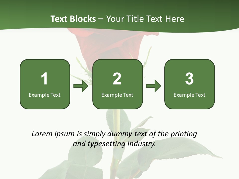 Rose Color Decoration PowerPoint Template