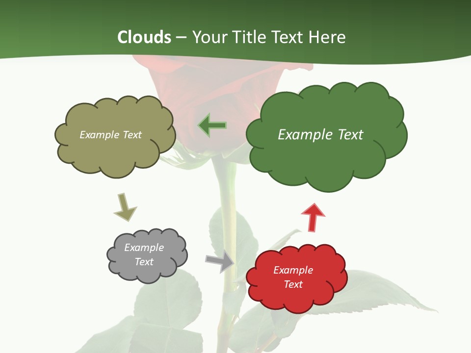 Rose Color Decoration PowerPoint Template