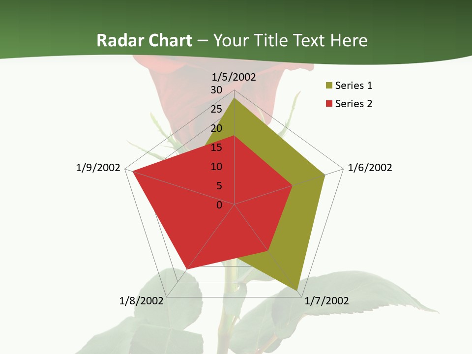 Rose Color Decoration PowerPoint Template