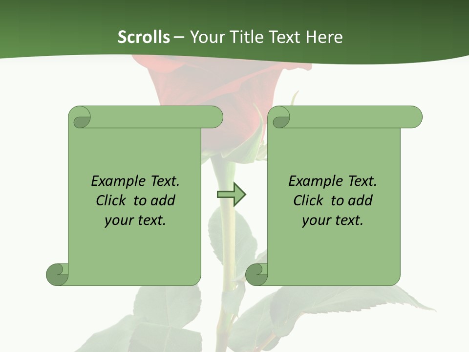 Rose Color Decoration PowerPoint Template