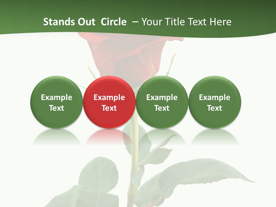 Rose Color Decoration PowerPoint Template