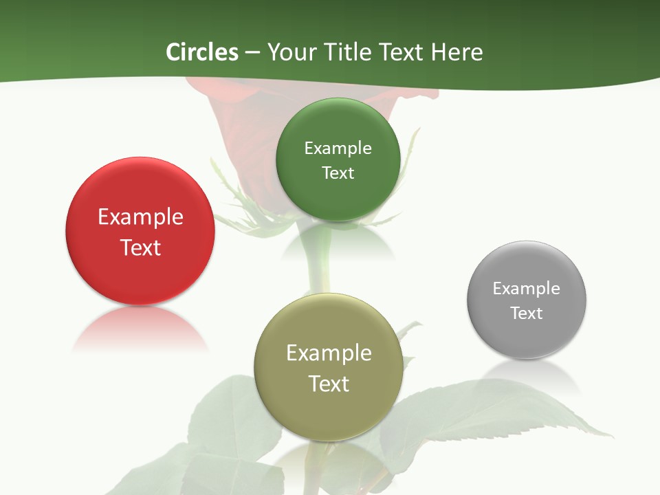 Rose Color Decoration PowerPoint Template