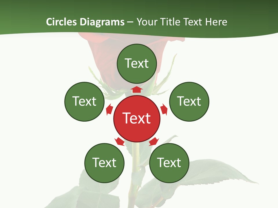 Rose Color Decoration PowerPoint Template