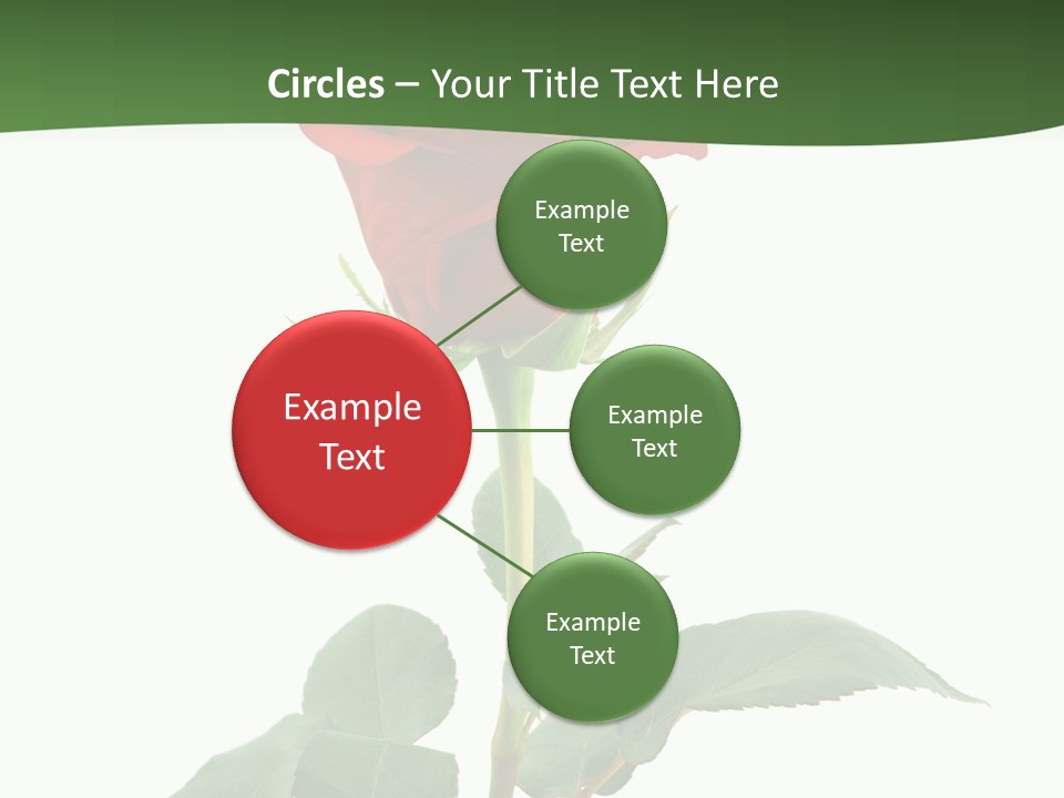 Rose Color Decoration PowerPoint Template