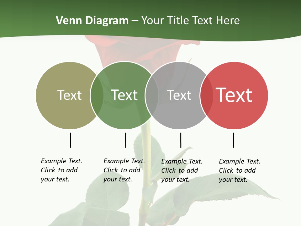 Rose Color Decoration PowerPoint Template