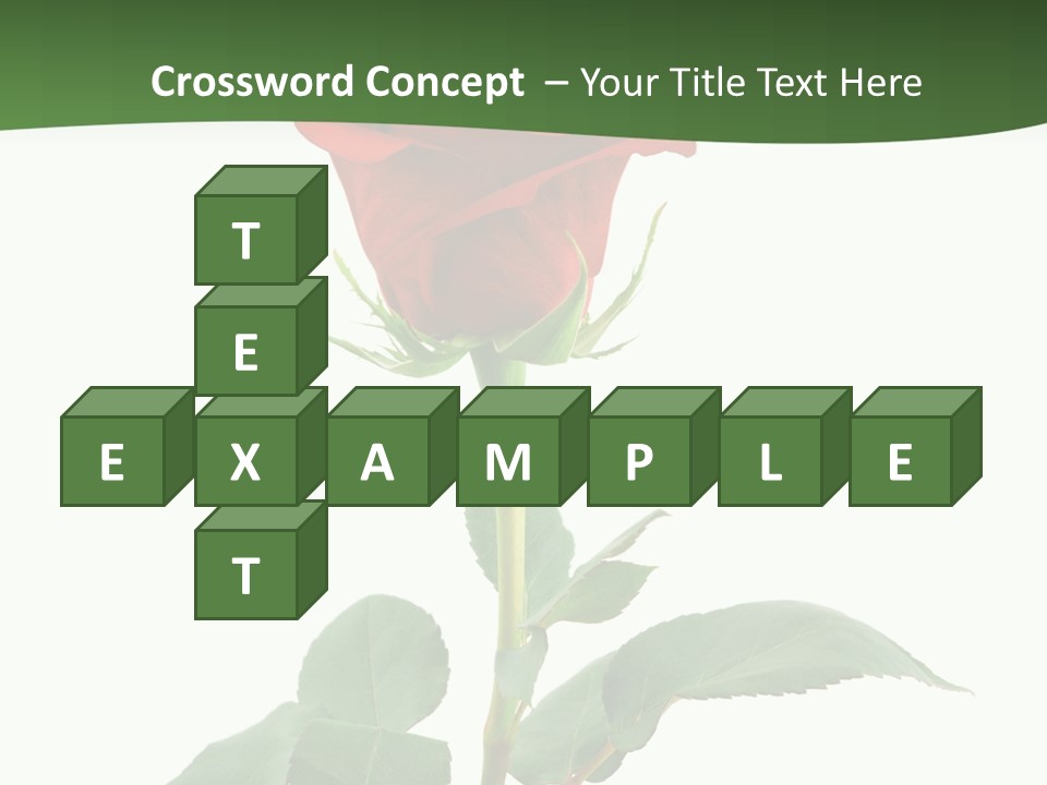 Rose Color Decoration PowerPoint Template