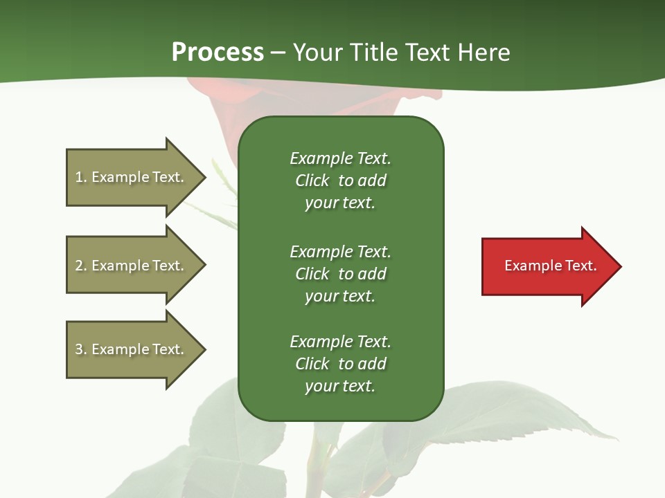 Rose Color Decoration PowerPoint Template