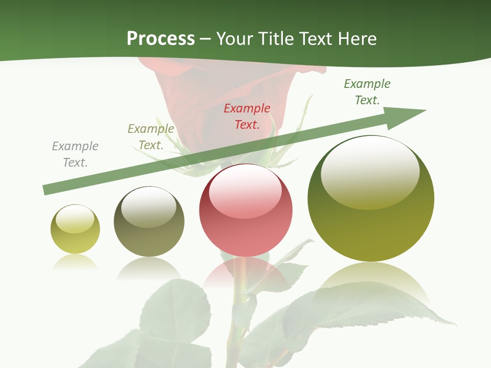 Rose Color Decoration PowerPoint Template