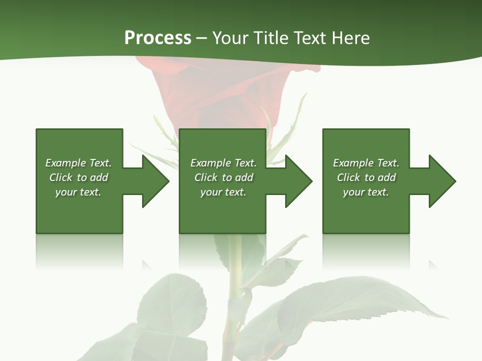 Rose Color Decoration PowerPoint Template