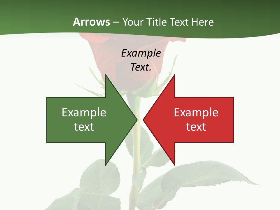 Rose Color Decoration PowerPoint Template