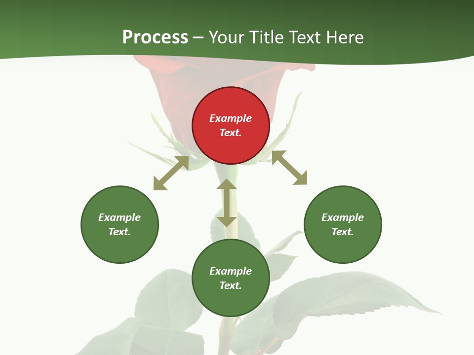 Rose Color Decoration PowerPoint Template