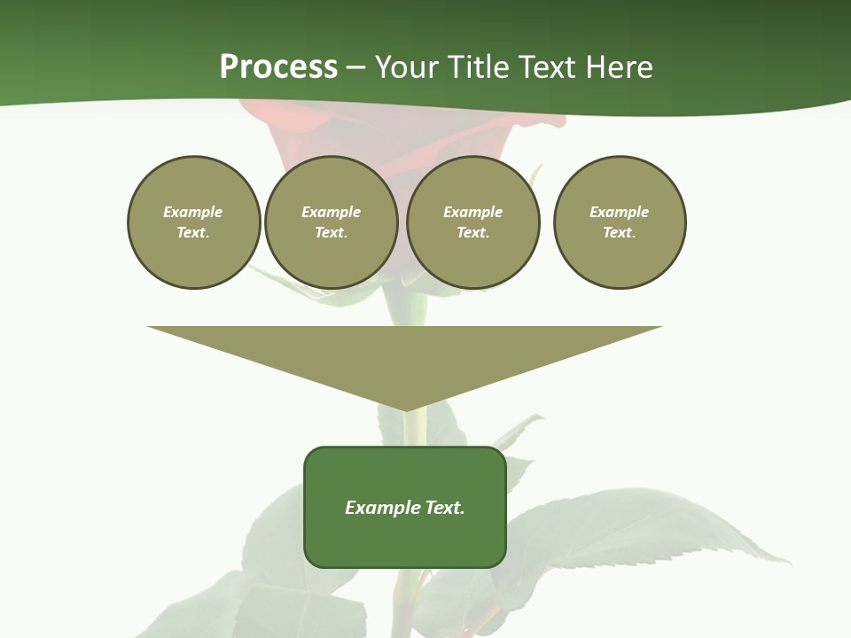 Rose Color Decoration PowerPoint Template