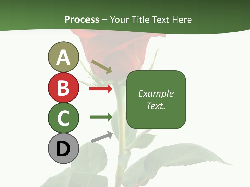 Rose Color Decoration PowerPoint Template