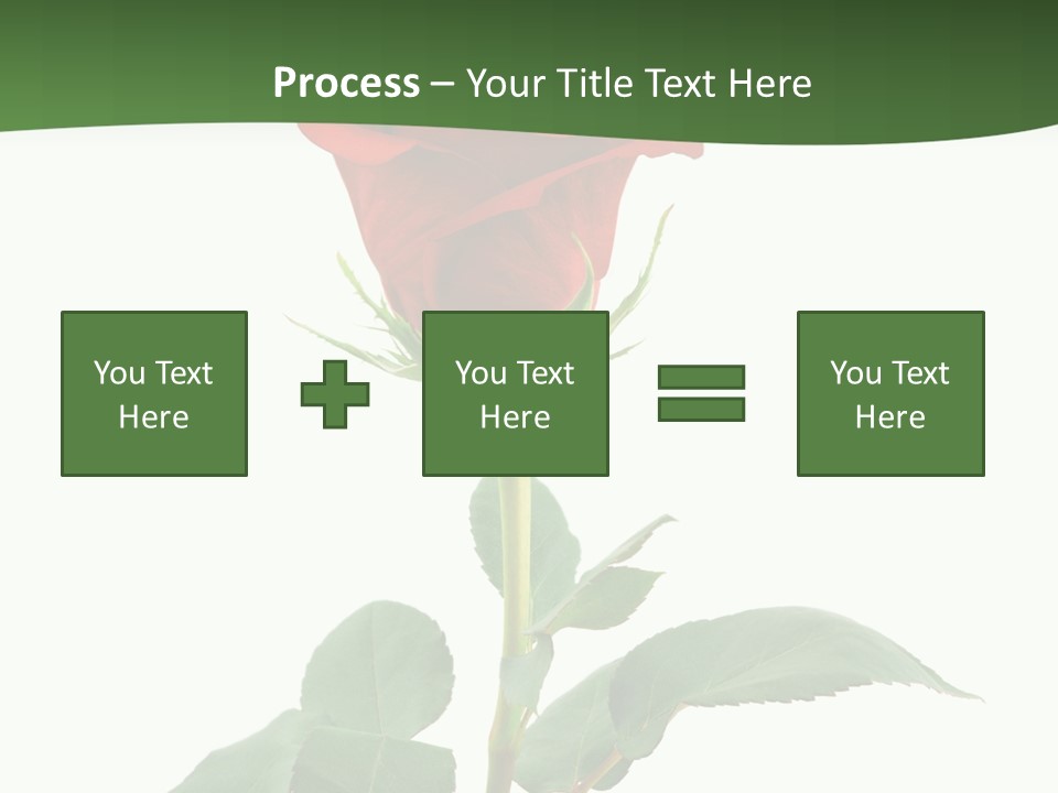 Rose Color Decoration PowerPoint Template