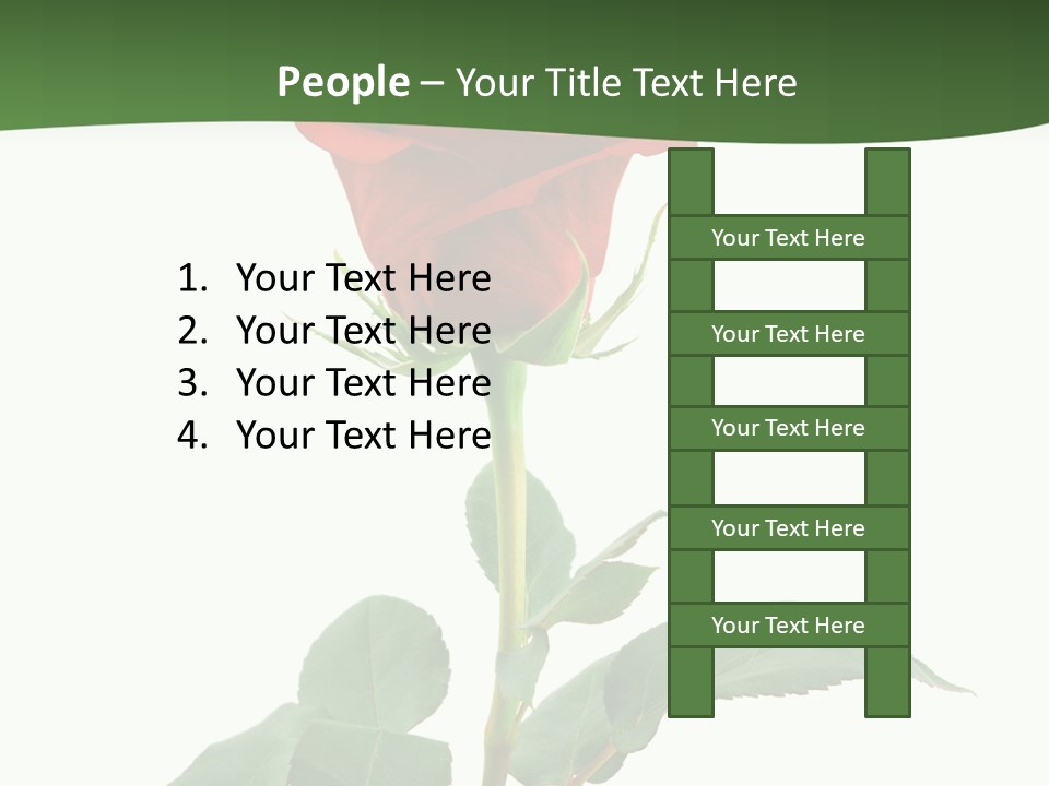 Rose Color Decoration PowerPoint Template
