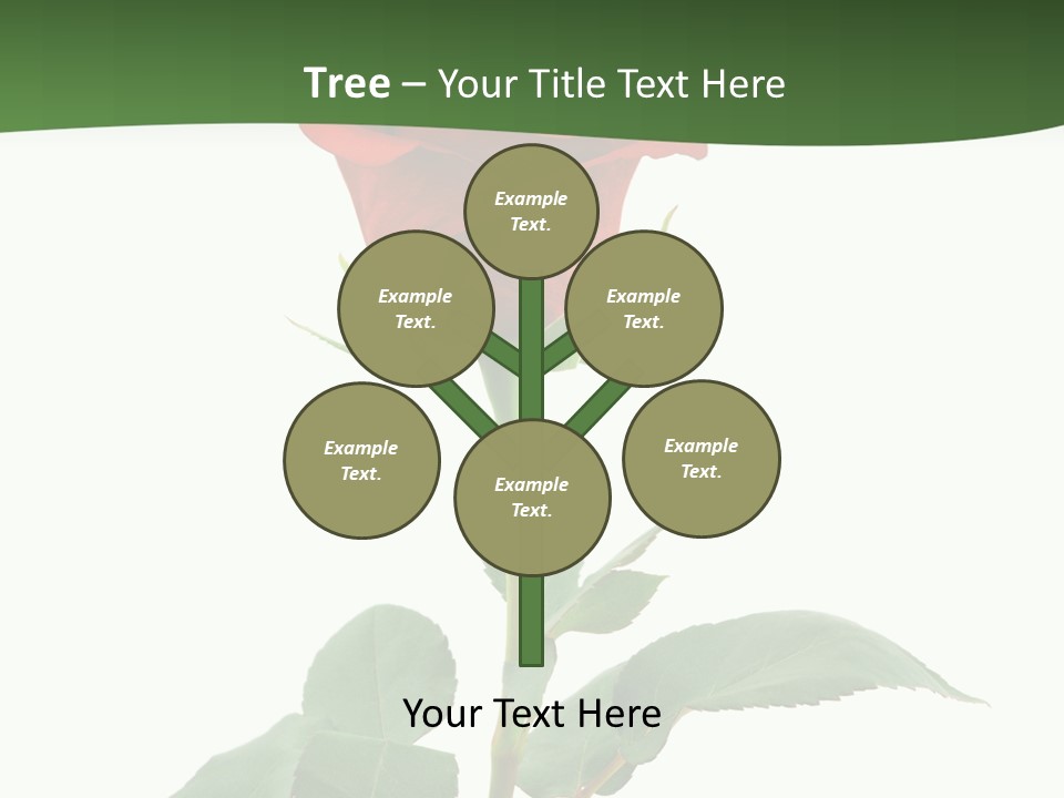 Rose Color Decoration PowerPoint Template