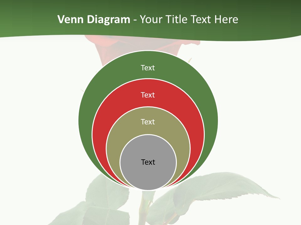 Rose Color Decoration PowerPoint Template
