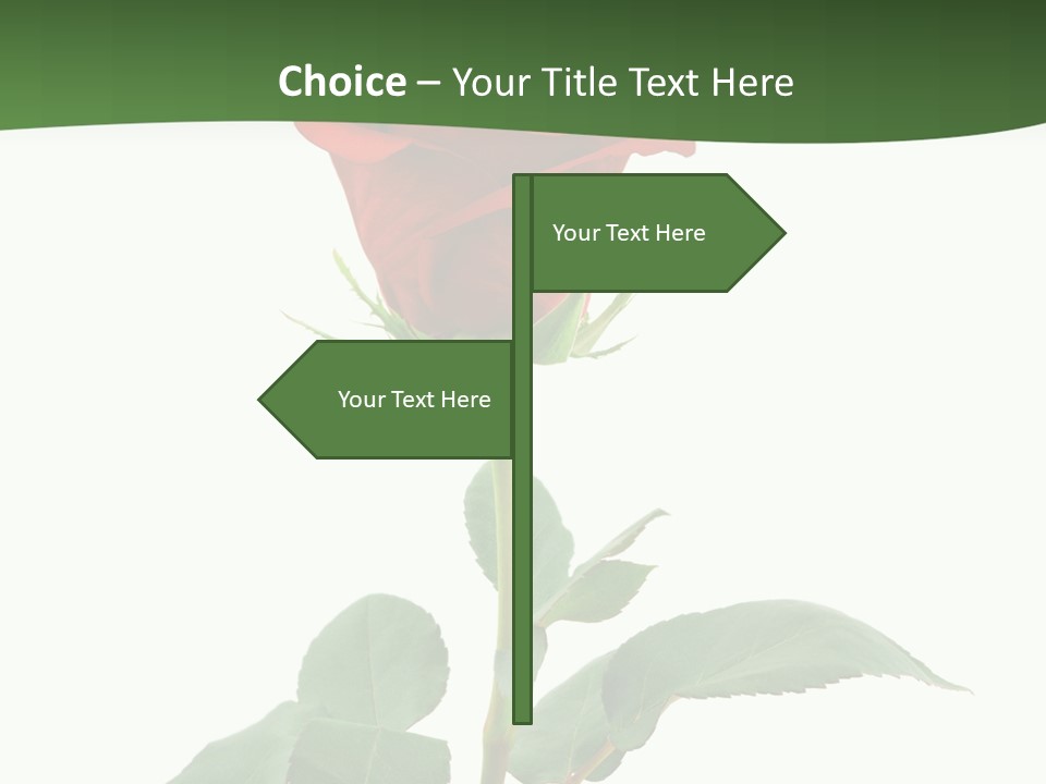 Rose Color Decoration PowerPoint Template