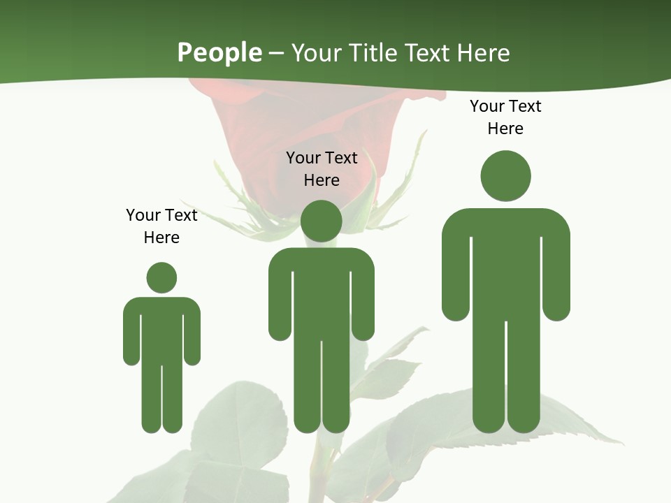 Rose Color Decoration PowerPoint Template