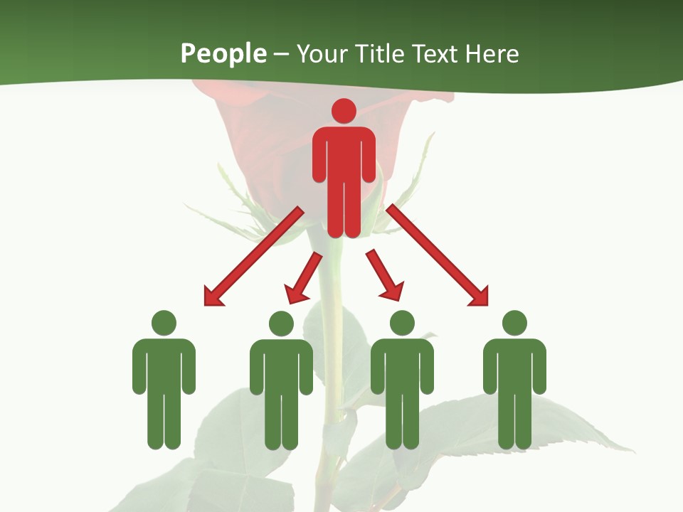 Rose Color Decoration PowerPoint Template