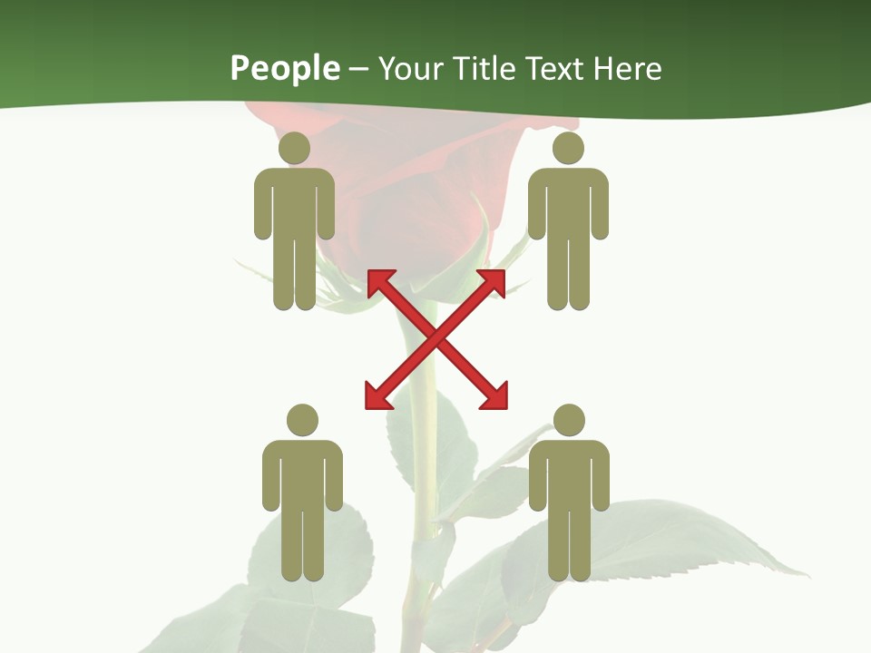 Rose Color Decoration PowerPoint Template