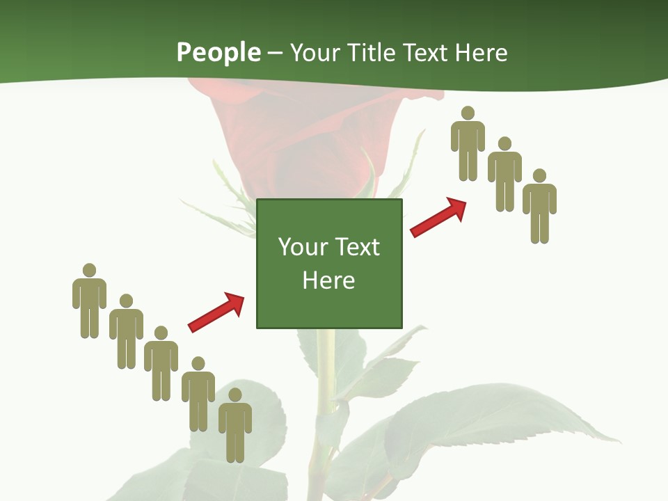 Rose Color Decoration PowerPoint Template