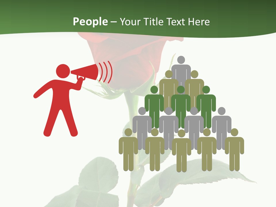 Rose Color Decoration PowerPoint Template