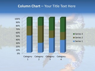 Sunny Healthy Network PowerPoint Template