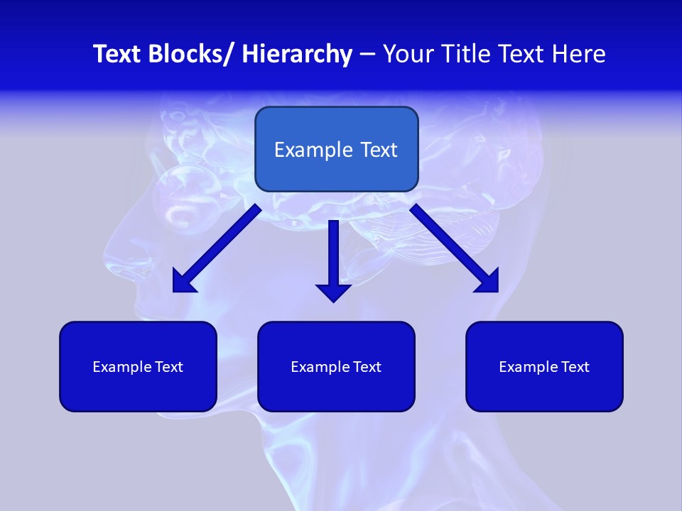 Man Brain Thought PowerPoint Template